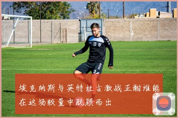 埃克纳斯与英特杜古激战正酣谁能在这场较量中脱颖而出