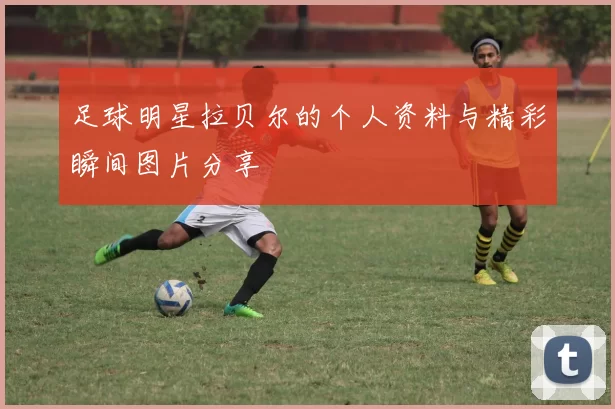 足球明星拉贝尔的个人资料与精彩瞬间图片分享
