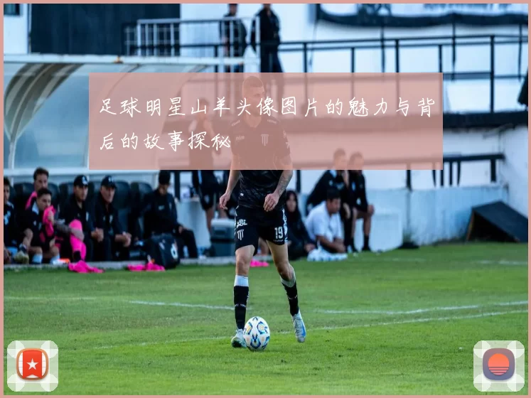 足球明星山羊头像图片的魅力与背后的故事探秘