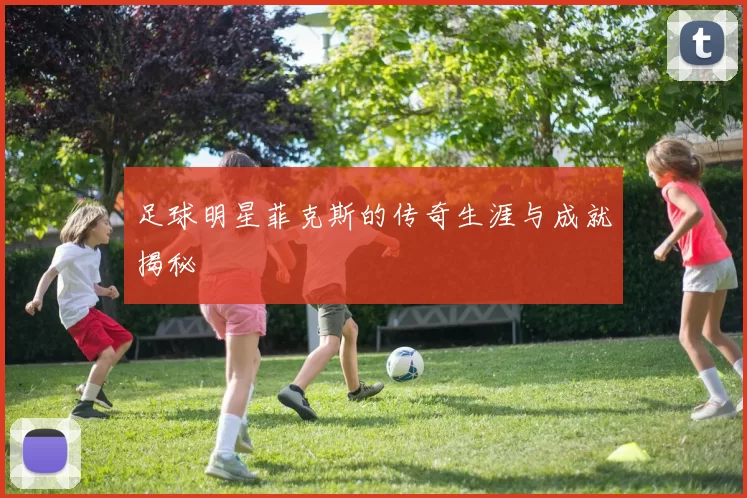 足球明星菲克斯的传奇生涯与成就揭秘