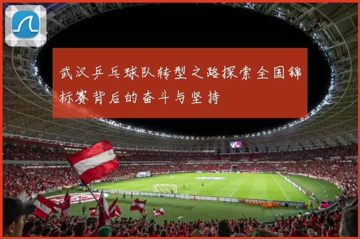 武汉乒乓球队转型之路探索全国锦标赛背后的奋斗与坚持