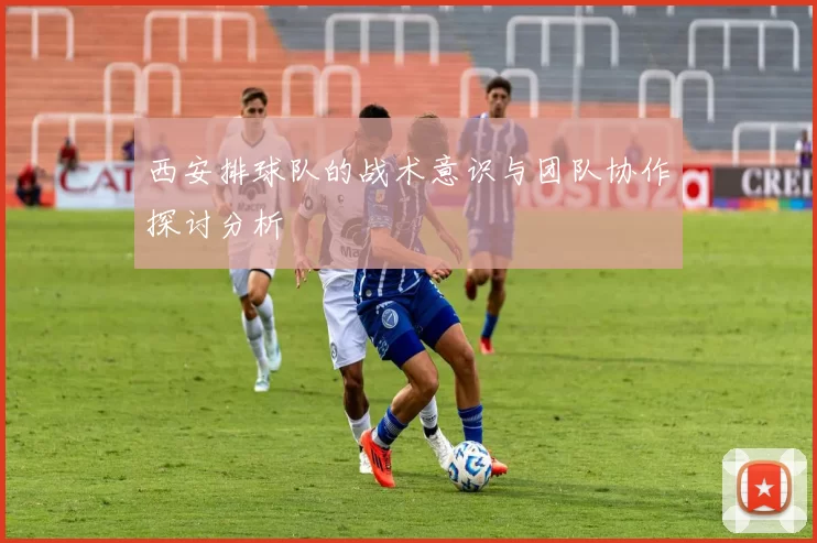 西安排球队的战术意识与团队协作探讨分析