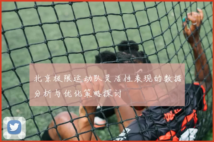 北京极限运动队灵活性表现的数据分析与优化策略探讨