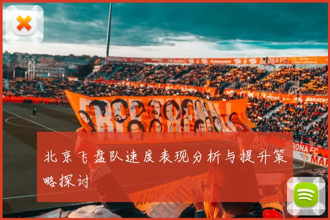 北京飞盘队速度表现分析与提升策略探讨