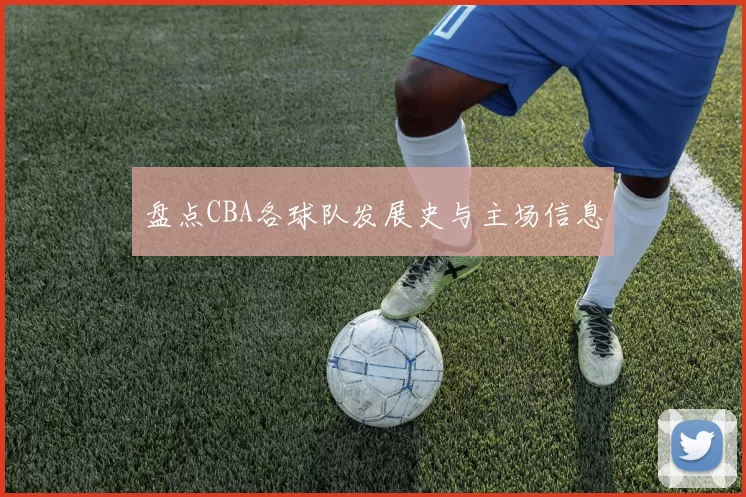 盘点CBA各球队发展史与主场信息