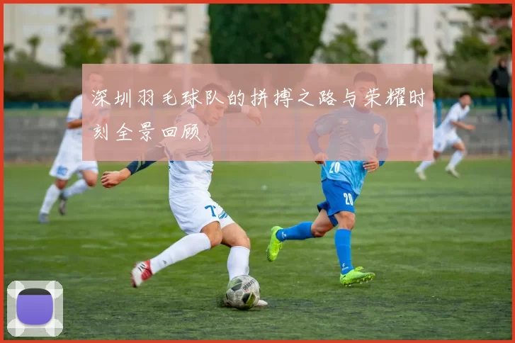 深圳羽毛球队的拼搏之路与荣耀时刻全景回顾