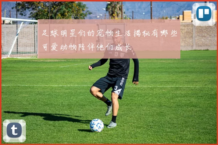 足球明星们的宠物生活揭秘有哪些可爱动物陪伴他们成长