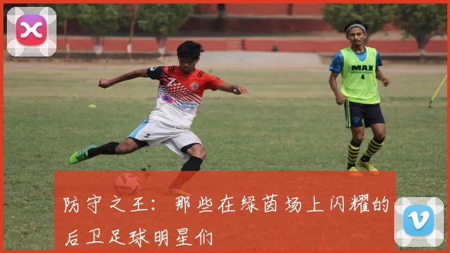 防守之王：那些在绿茵场上闪耀的后卫足球明星们