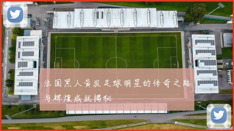 法国黑人黄发足球明星的传奇之路与辉煌成就揭秘