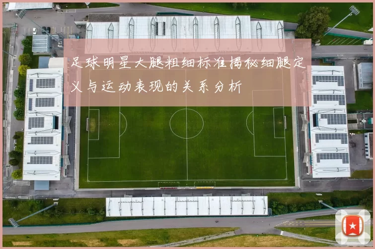 足球明星大腿粗细标准揭秘细腿定义与运动表现的关系分析