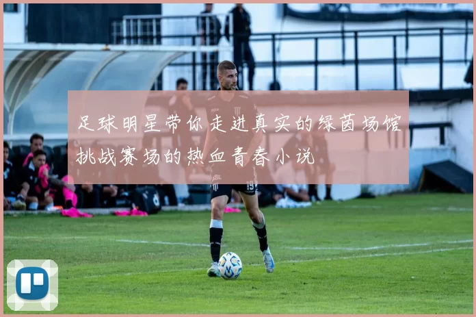 足球明星带你走进真实的绿茵场馆挑战赛场的热血青春小说