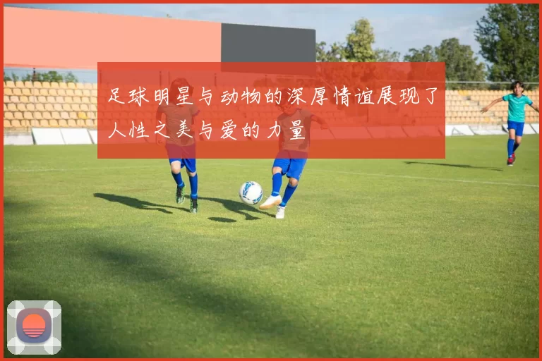 足球明星与动物的深厚情谊展现了人性之美与爱的力量