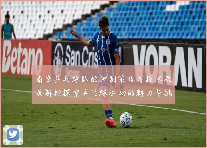 南京乒乓球队的控制策略与技术深度解析探索乒乓球运动的魅力与挑战