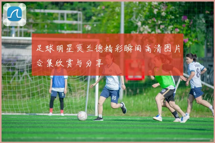足球明星莫兰德精彩瞬间高清图片合集欣赏与分享