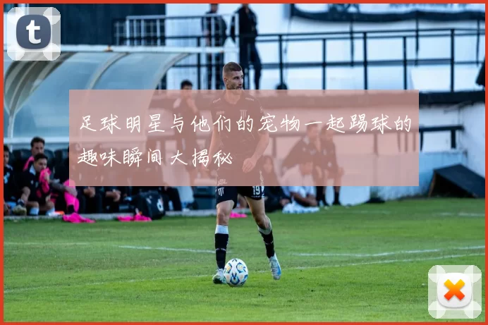 足球明星与他们的宠物一起踢球的趣味瞬间大揭秘